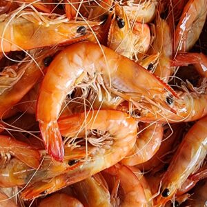 Prawns