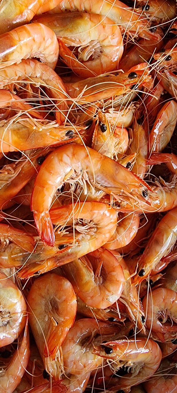 King Prawns