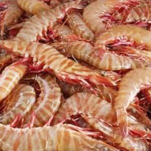 Raw Tiger Prawns