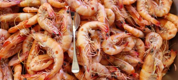 QLD Redspot King Prawns