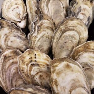 Whole Coffin Bay Oysters
