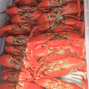Stanage Bay Cooked Mud Crabs