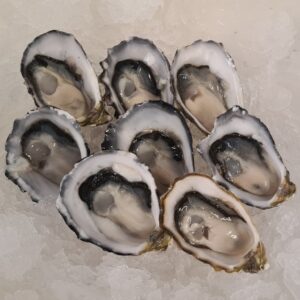 Coffin Bay Half Shell Oysters
