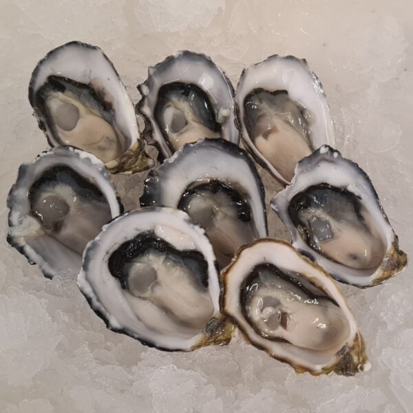 Coffin Bay Half Shell Oysters