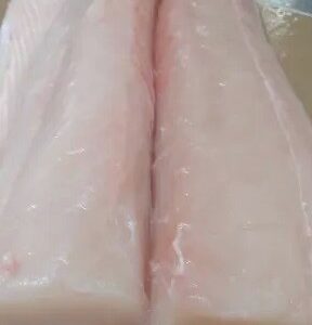 Spanish Mackerel