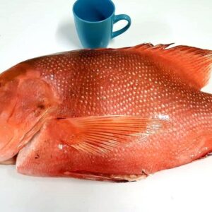 Whole Red Emperor